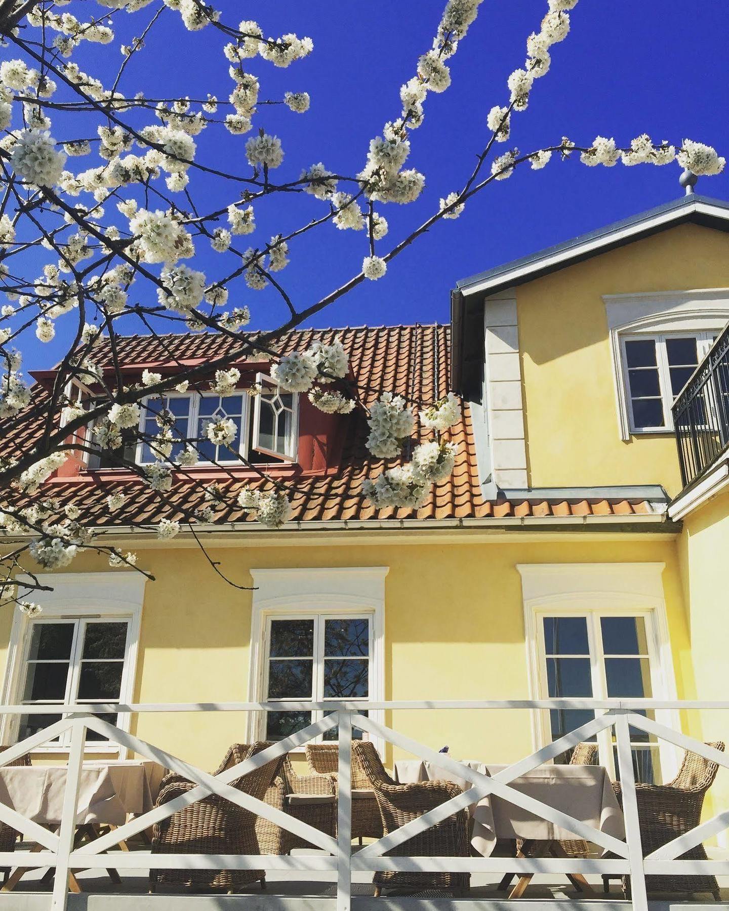 Kivikstrand Badhotell Kültér fotó